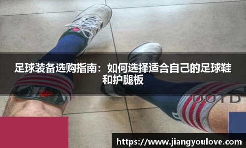 龙珠体育直播