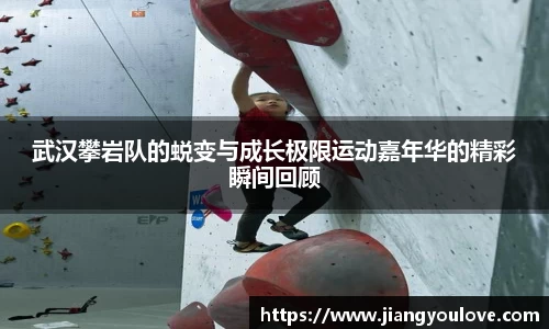 龙珠体育直播