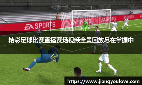龙珠体育直播在线观看