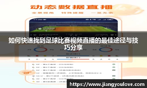 龙珠体育