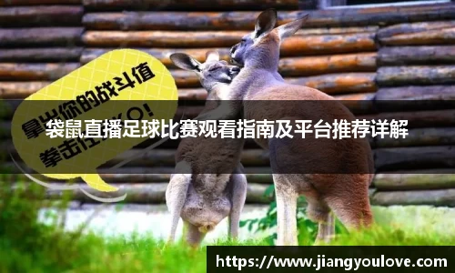 袋鼠直播足球比赛观看指南及平台推荐详解